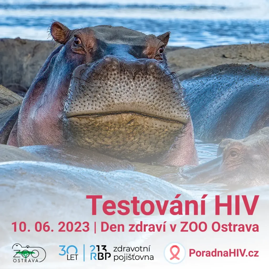 Testování HIV v Zoo Ostrava 2023