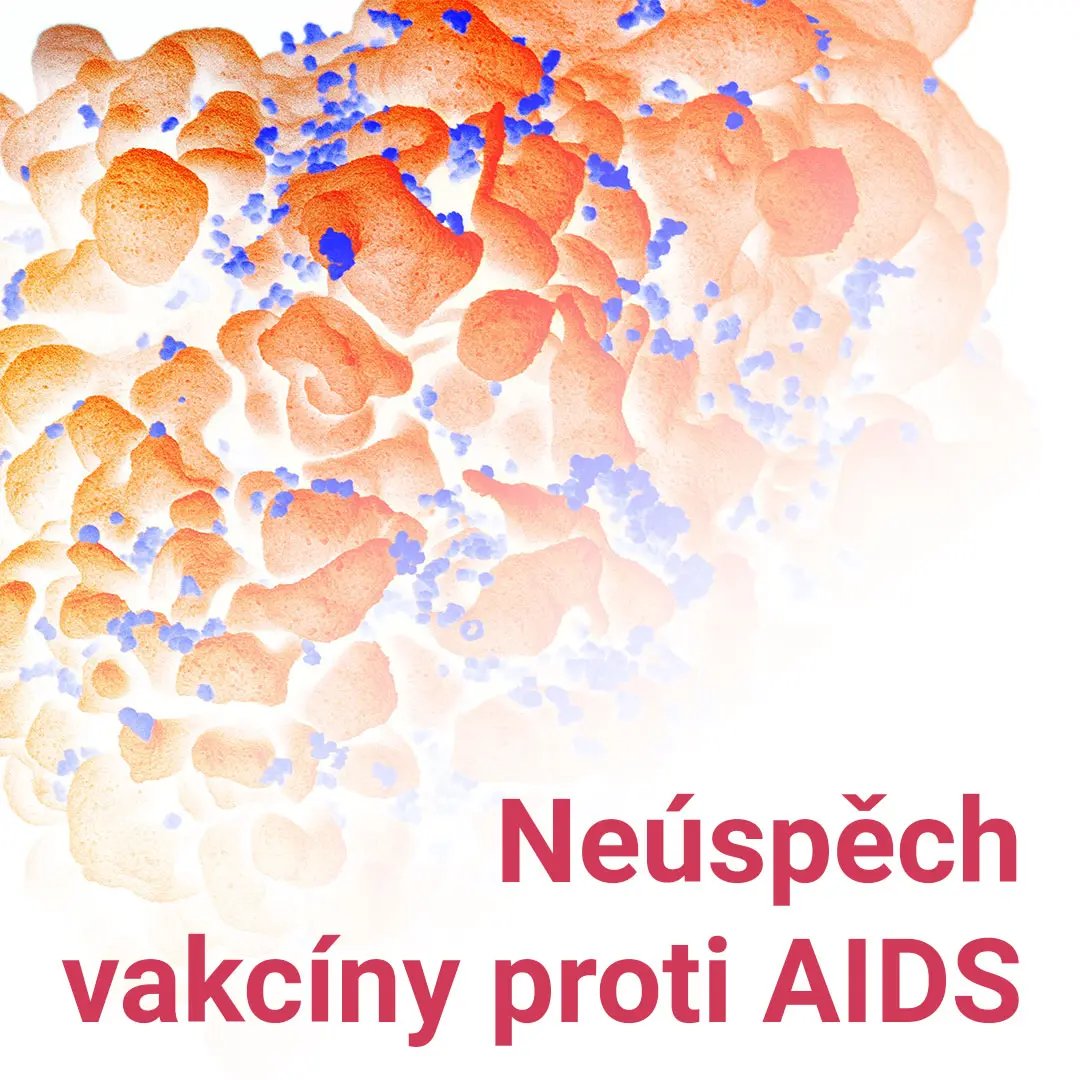 Selhala poslední současná šance na vakcínu proti AIDS
